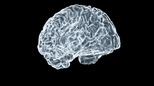 From Molecules to Mind: Cellular and Molecular Neuroscience