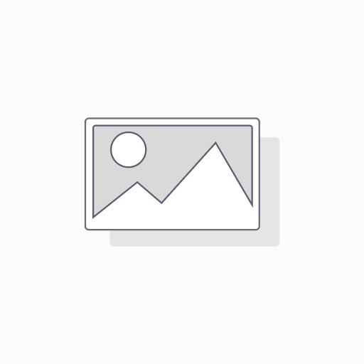 Dengue Virus Subtype 3 Envelope 45 kDa Protein