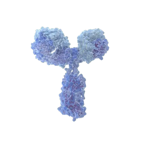 DUT (Human) Matched Antibody Pair